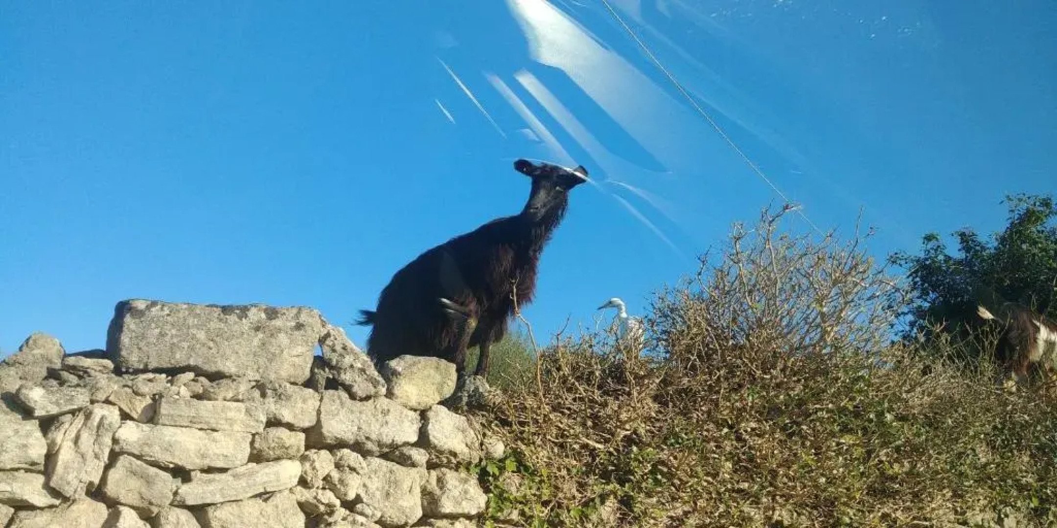 "la Casina del forno con piscina fra Catania e Siracusa "