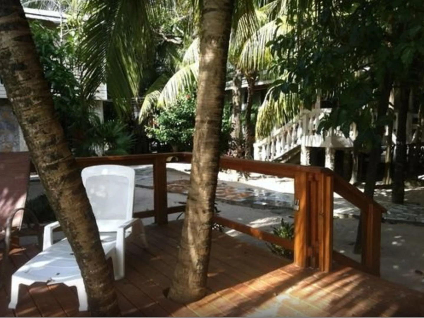 Coconut Tree West Bay