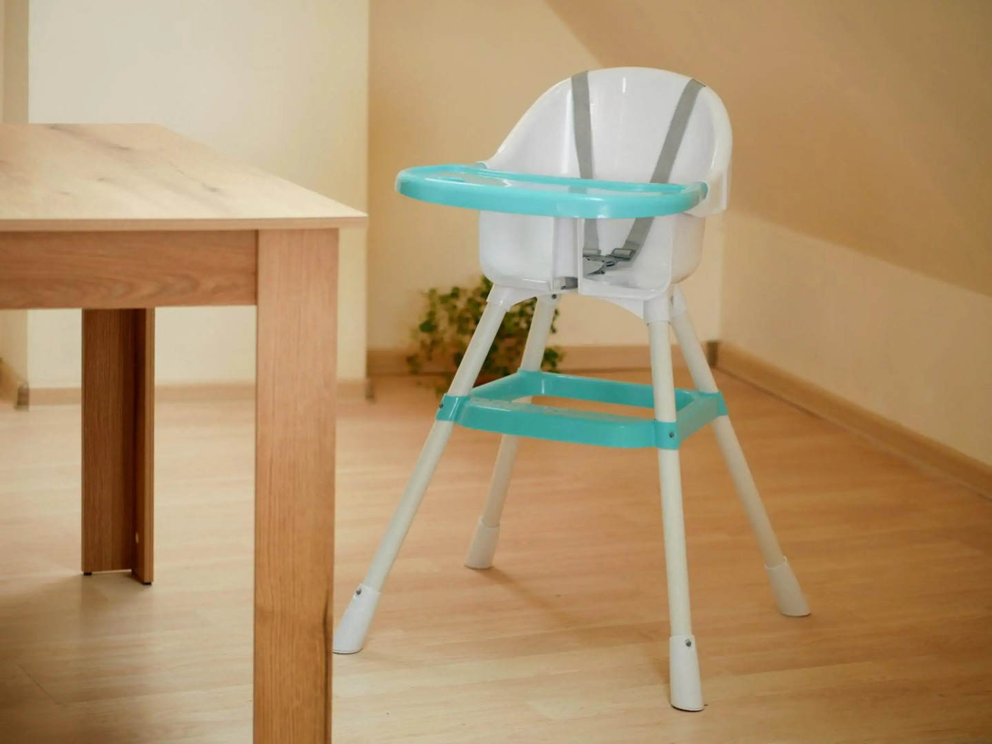 Altavista mountain apartment