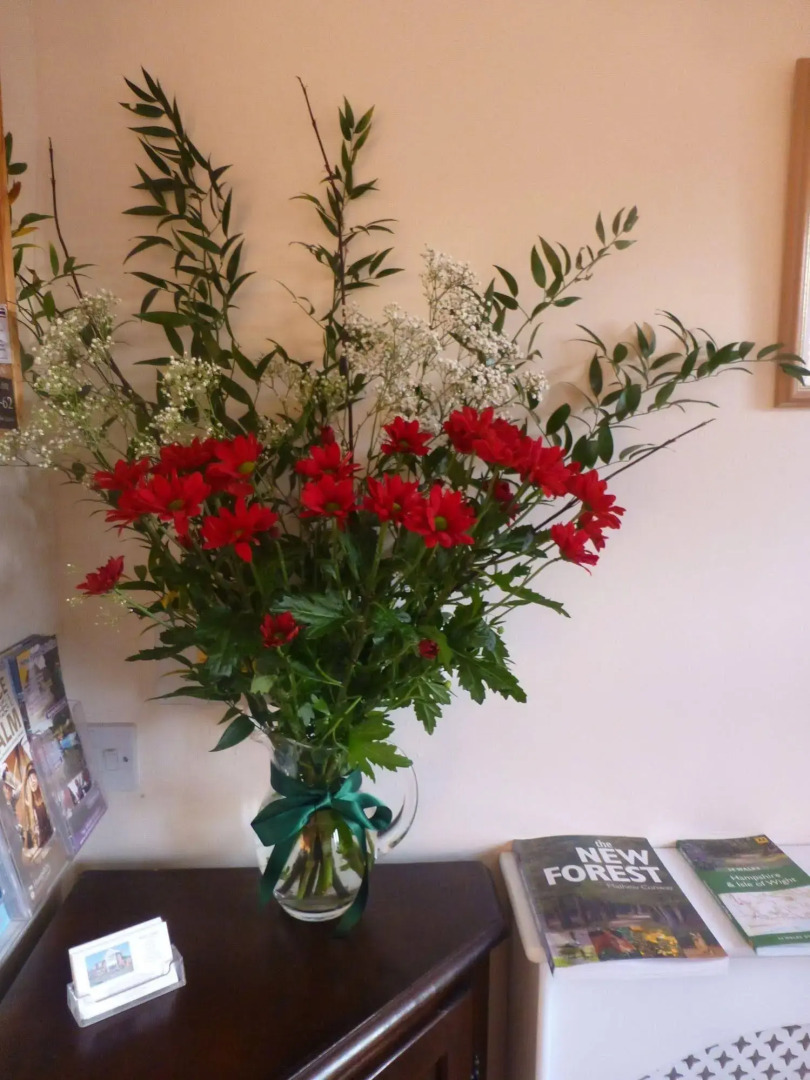 Beech Lodge Bed and Breakfast