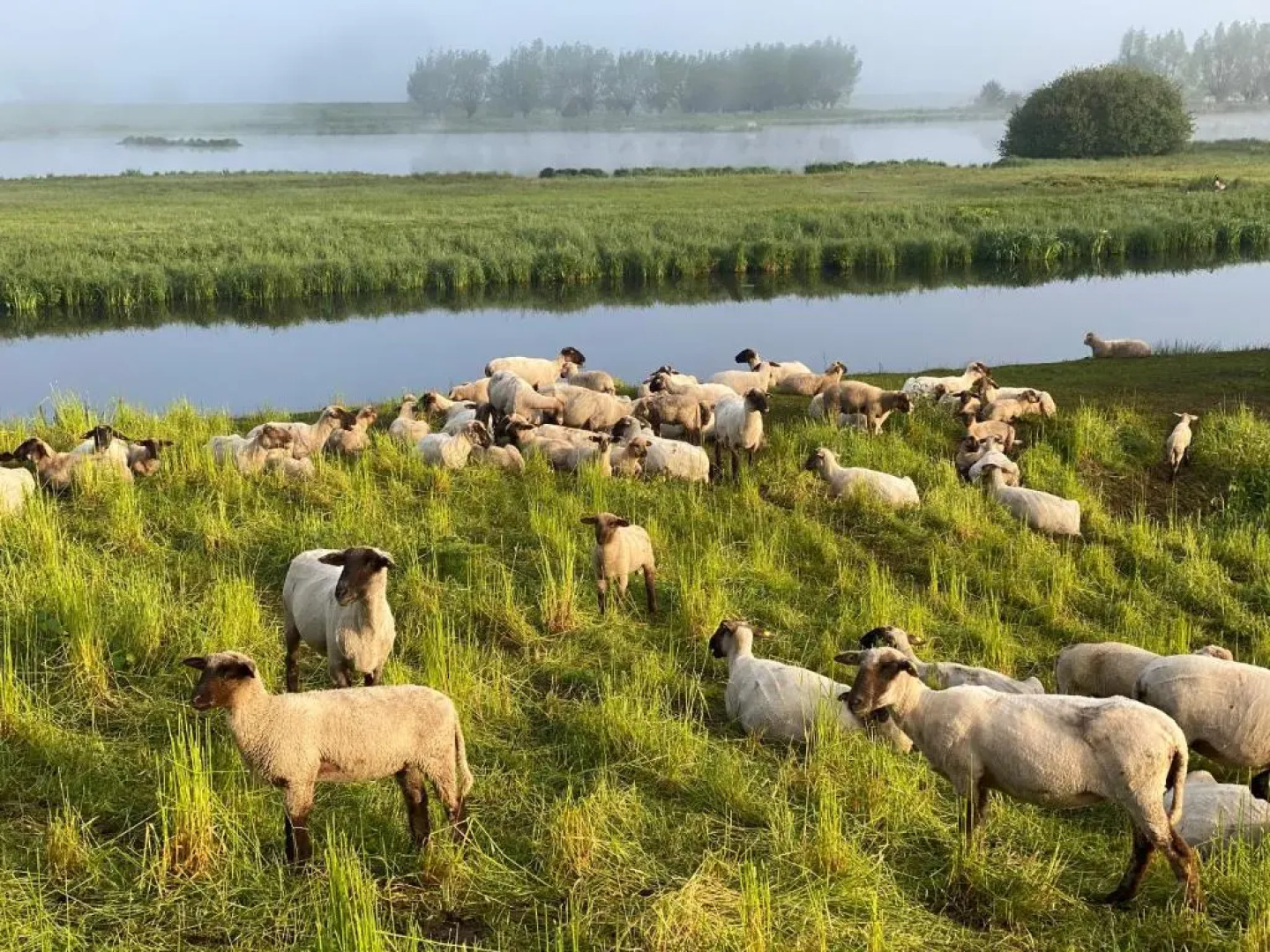 Wilsmann Apartmentvermietung
