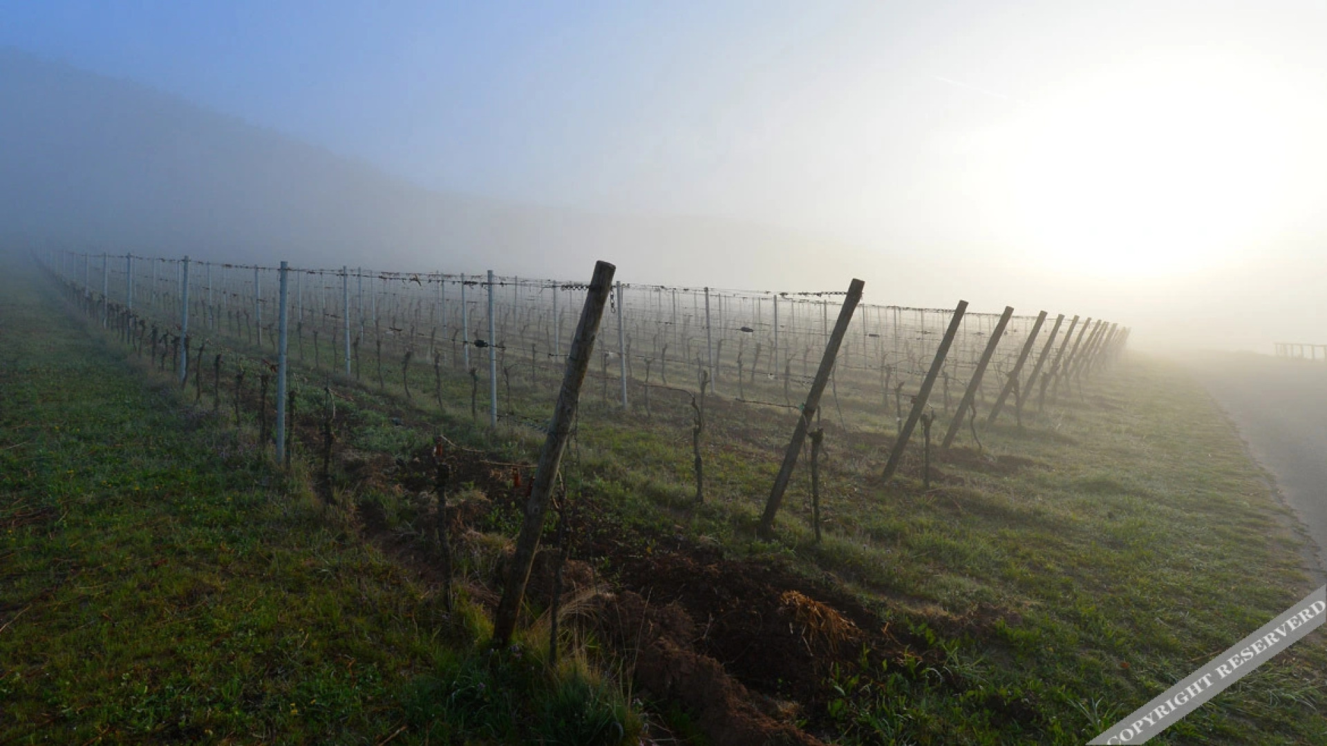 Hotel Weinhaus Stern
