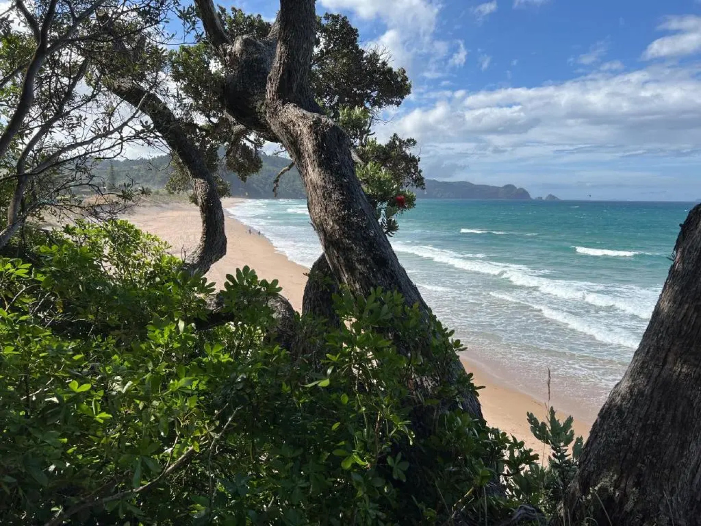 Oceana Heights Paradise - Beautiful 2 bdrm self contained apartment