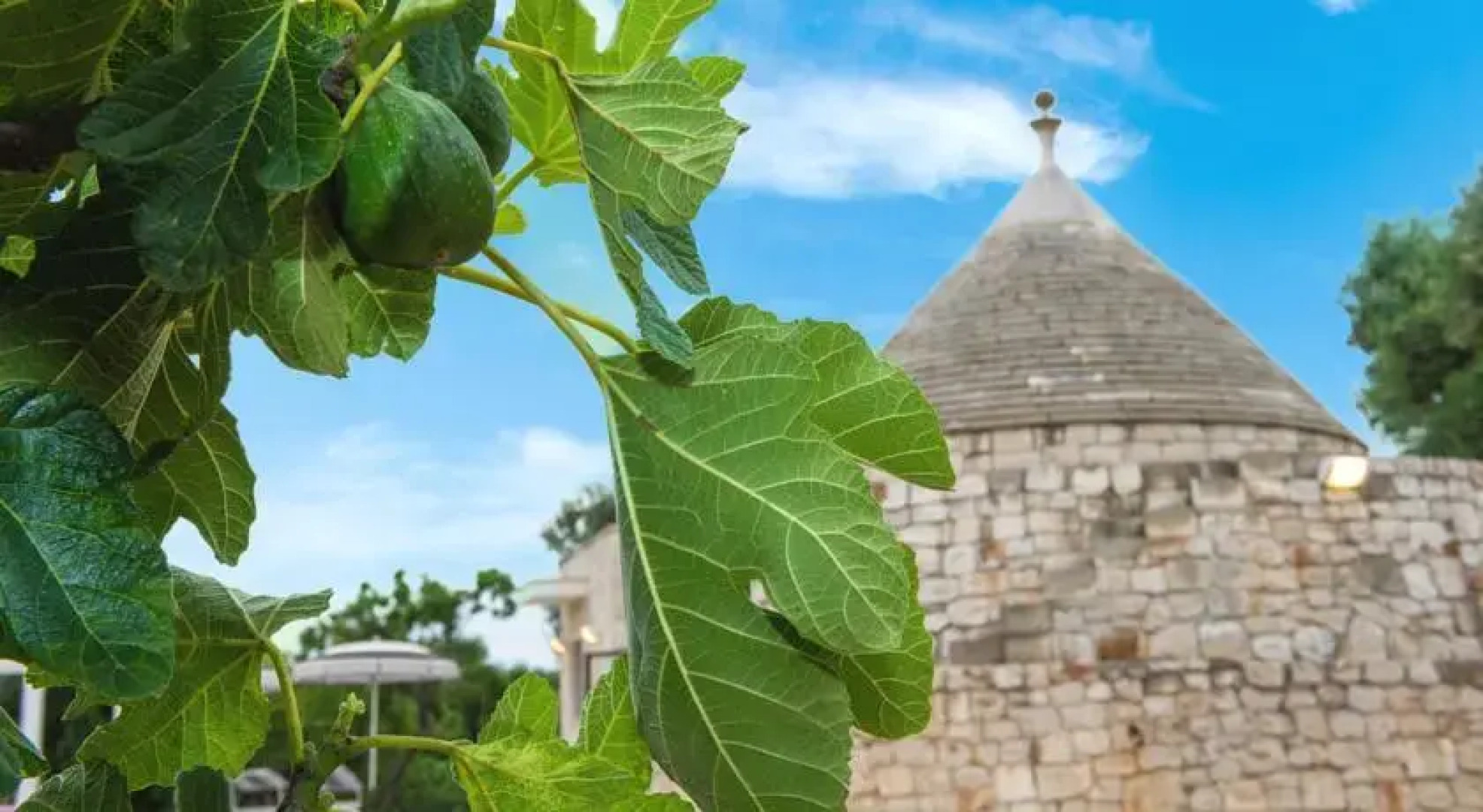 Trullo del Boschetto