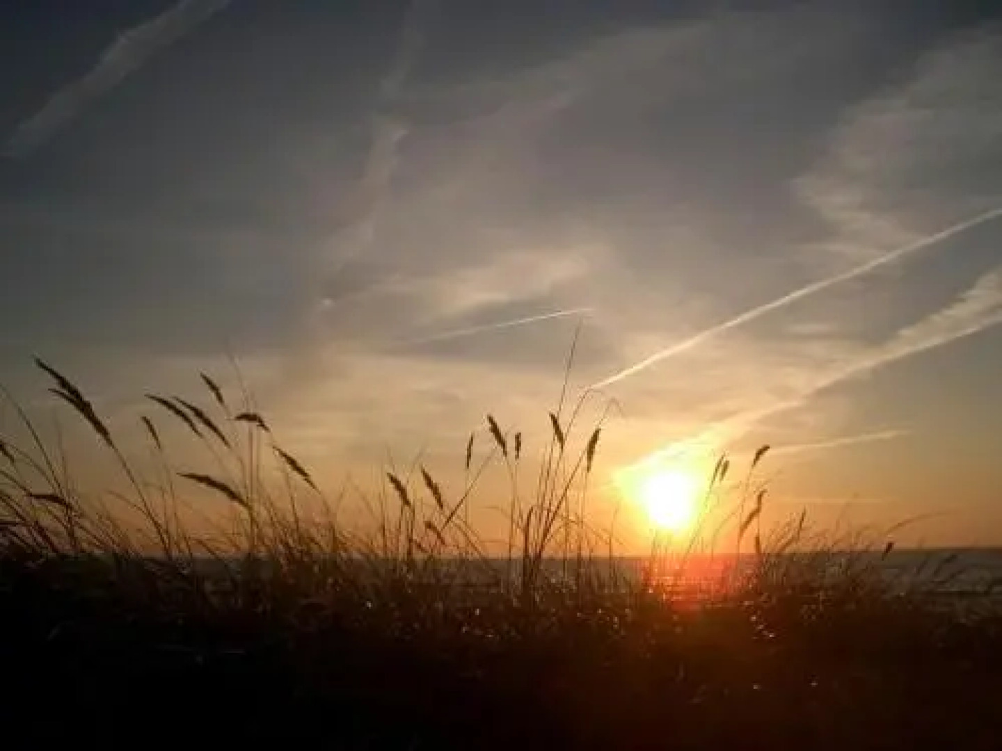 Am Trommelplatz - Ferienwohnung 4 - [#66238]