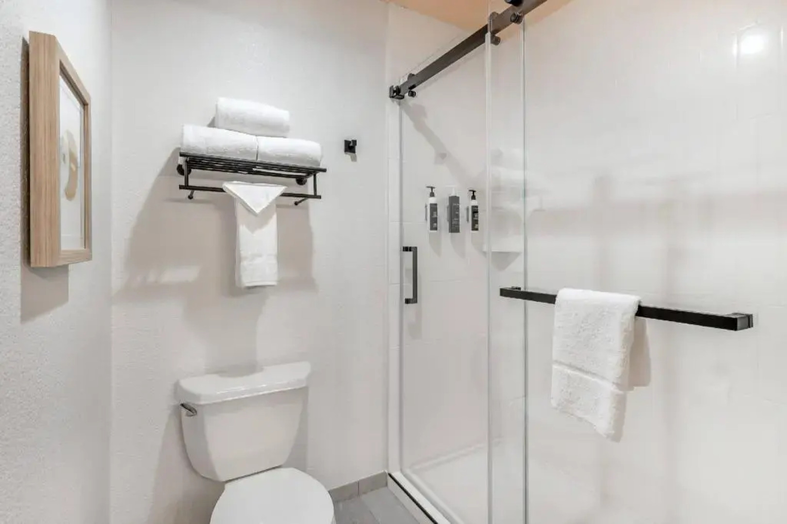 The Sandman Santa Rosa Sonoma, an Ascend Collection Hotel