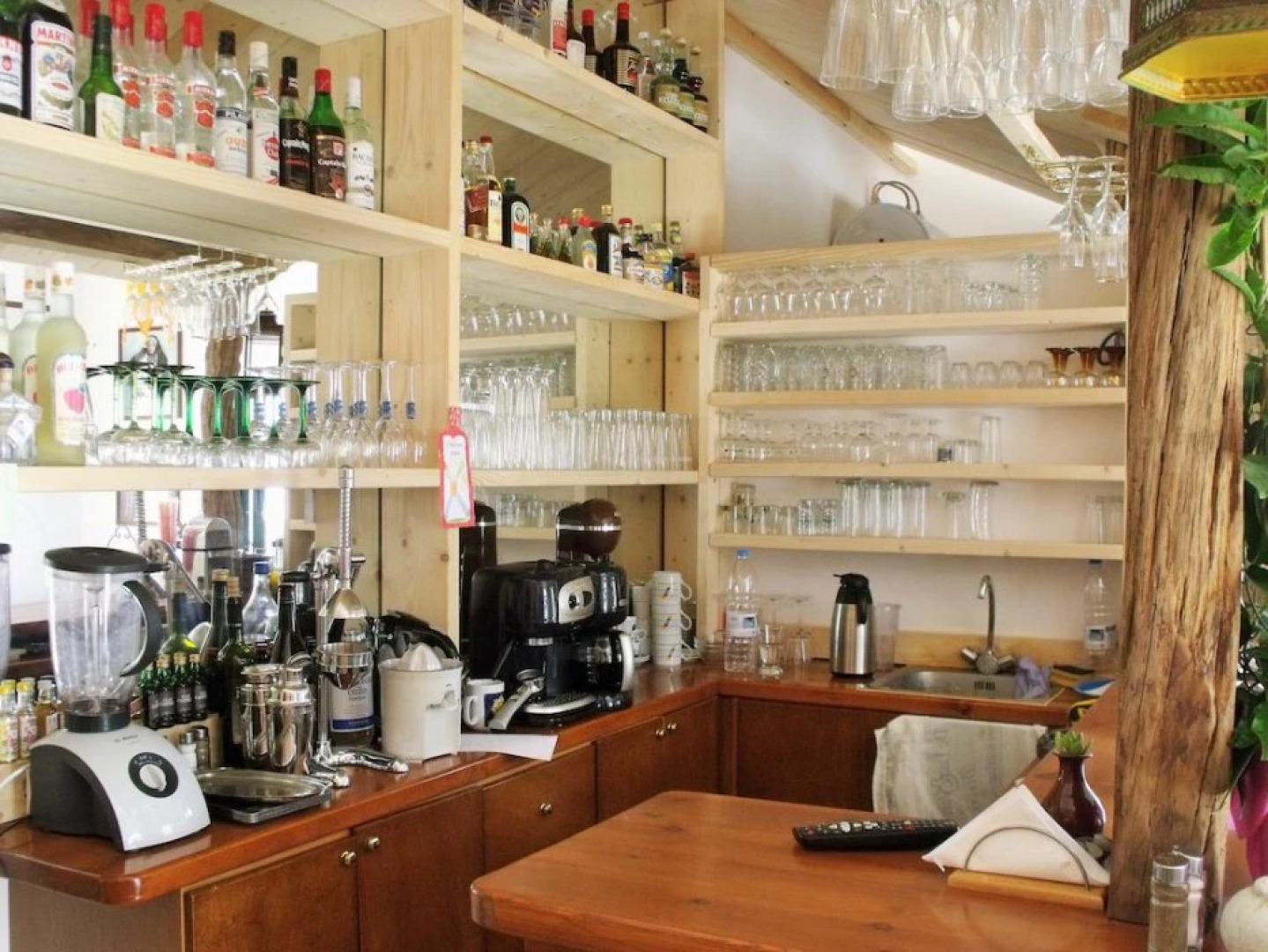 Aragorn Paradise Garden