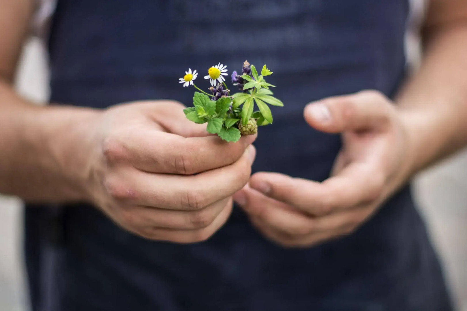 Hotel Rocket Rooms Velden