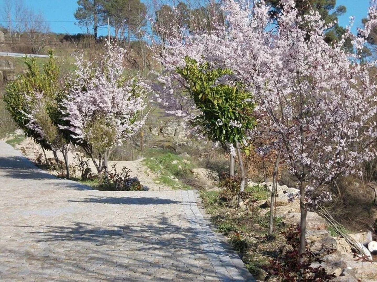 Barbecue | Private Garden | Parking | Serra da Estrela | MyStay