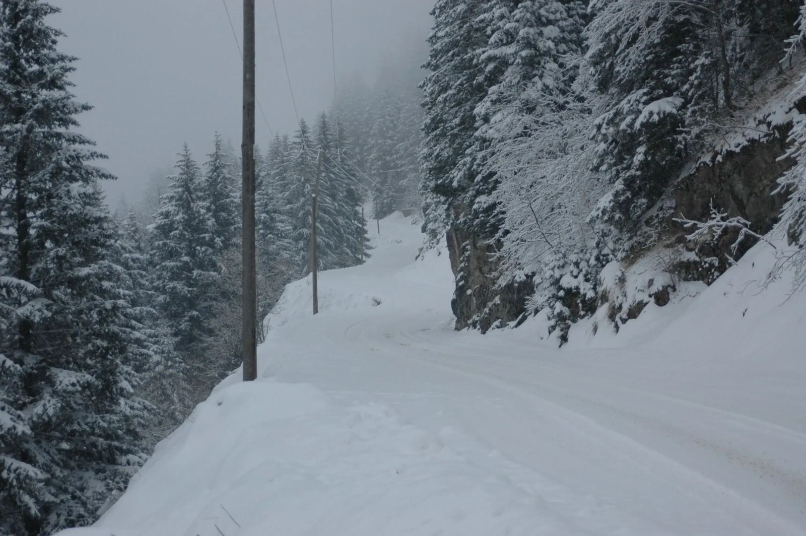 Hamsiköy Zitaş Bungalov & Restoran