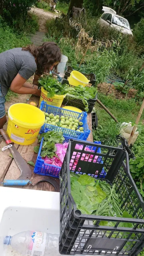 La Piraterie des Galinoux