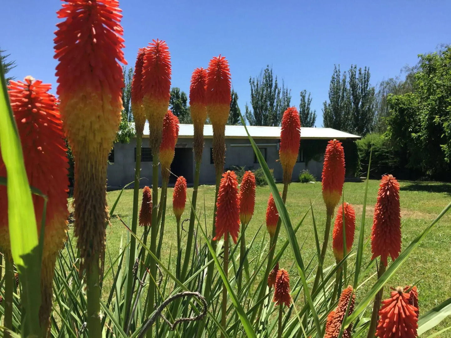 Tikaykilla Lodge & Wines