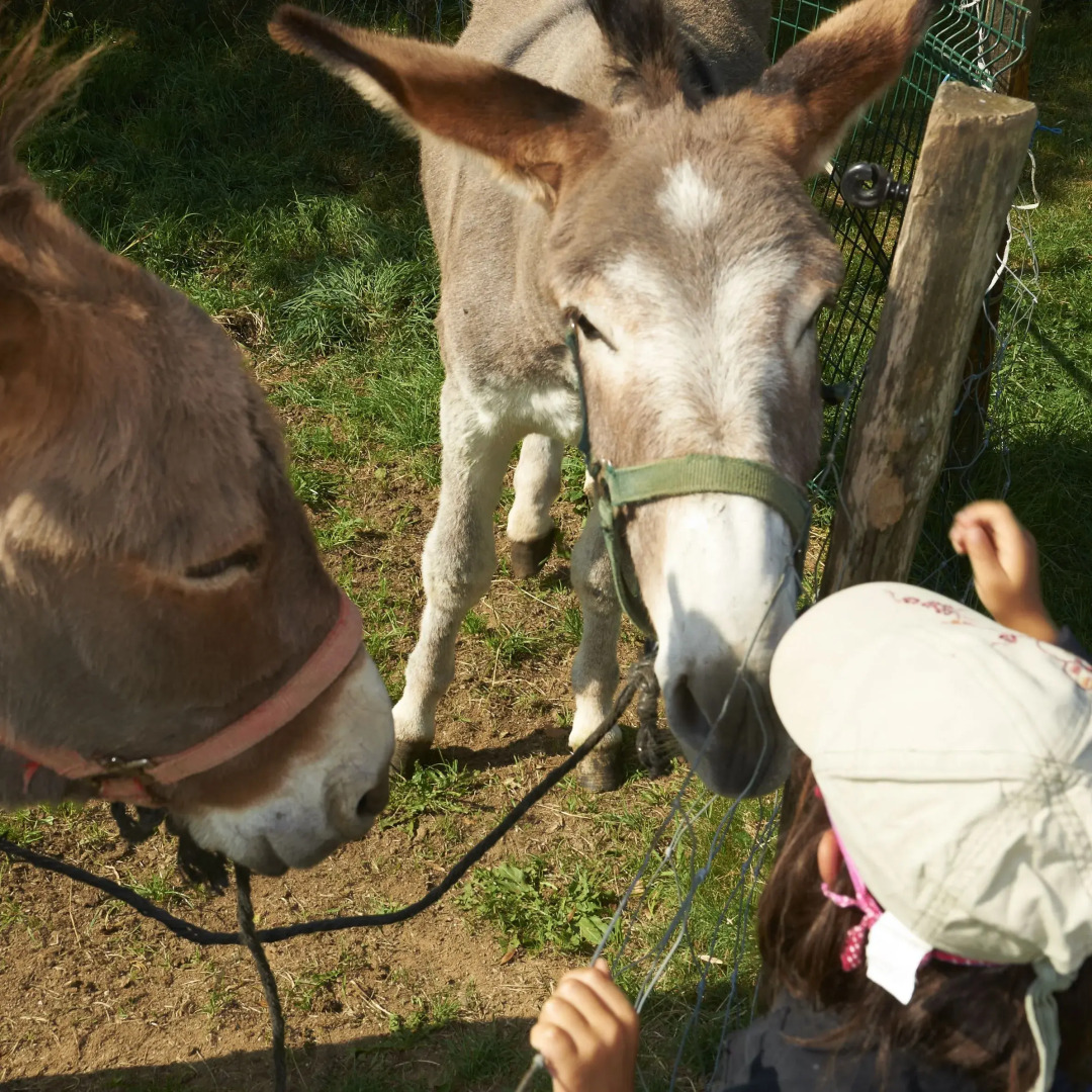 VVF Haute Loire Haute Ardèche, Tence