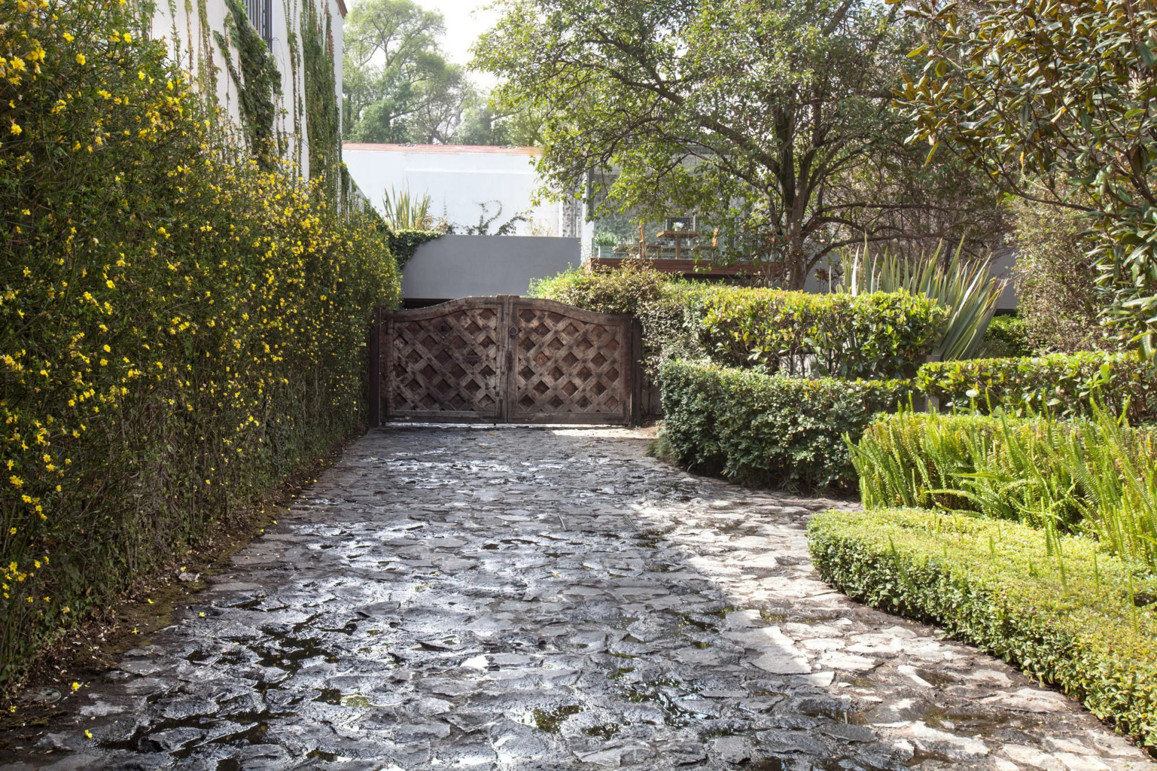 Hacienda Peña Pobre