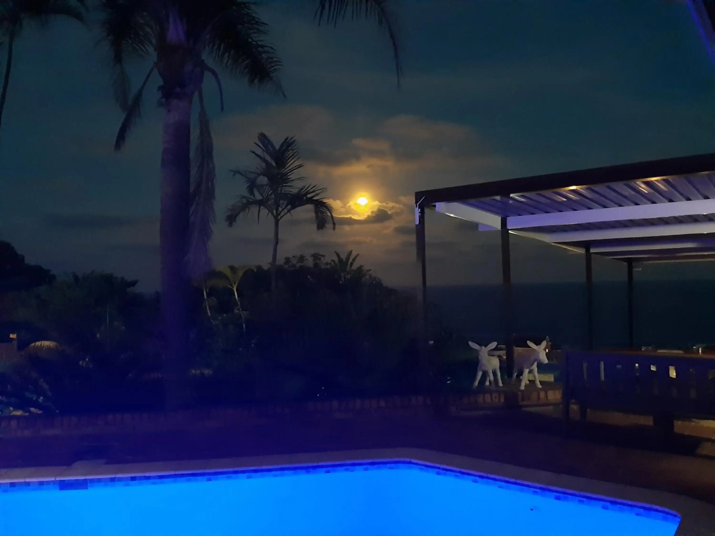 Albatros Guest House, Margate ,, SOUTH AFRICA , KZN NATAL