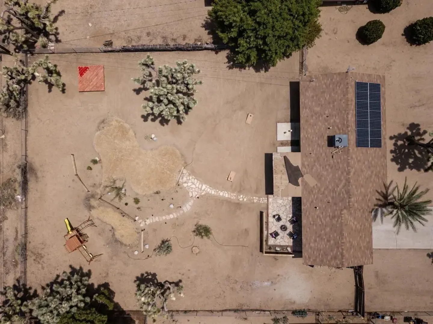 Mountain View Trail - Roadrunner