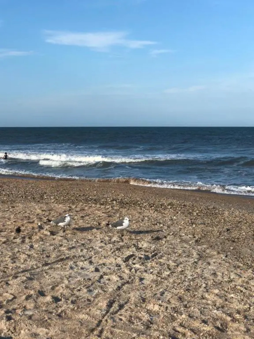Beach bungalow at Ocean Village