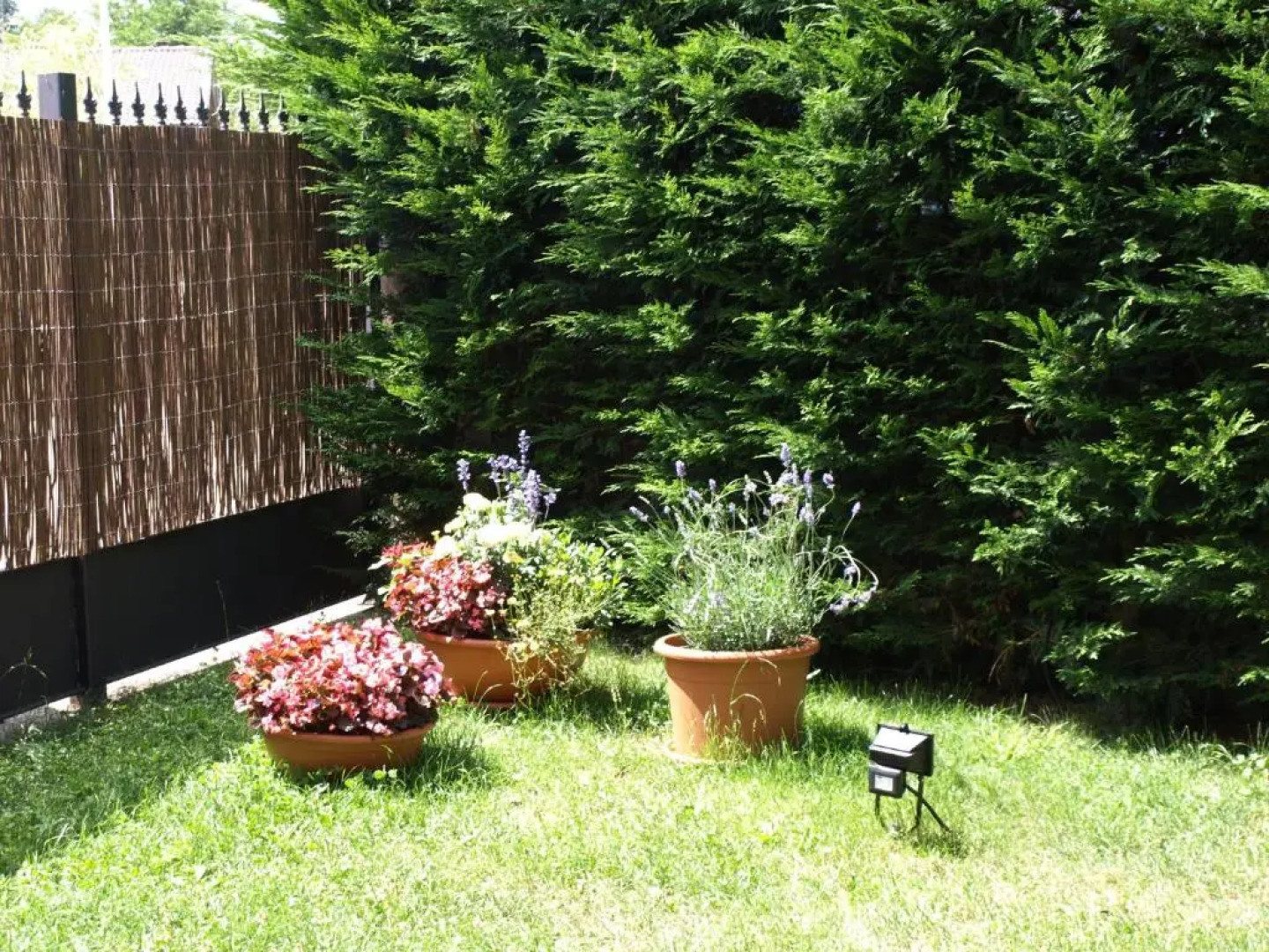 Hotel Rural Los Roturos