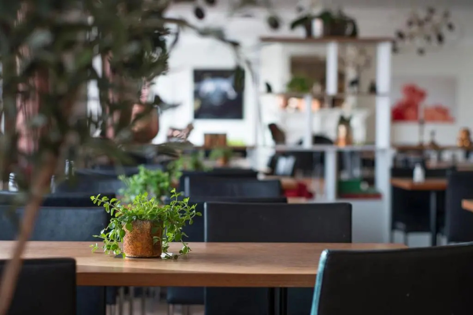 Quality Hotel Grand Boras