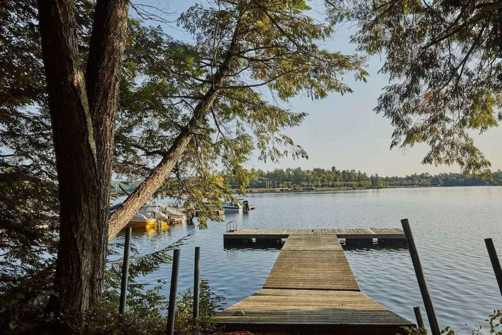 Tentrr - Wayshego on Little Mountain - Campsite
