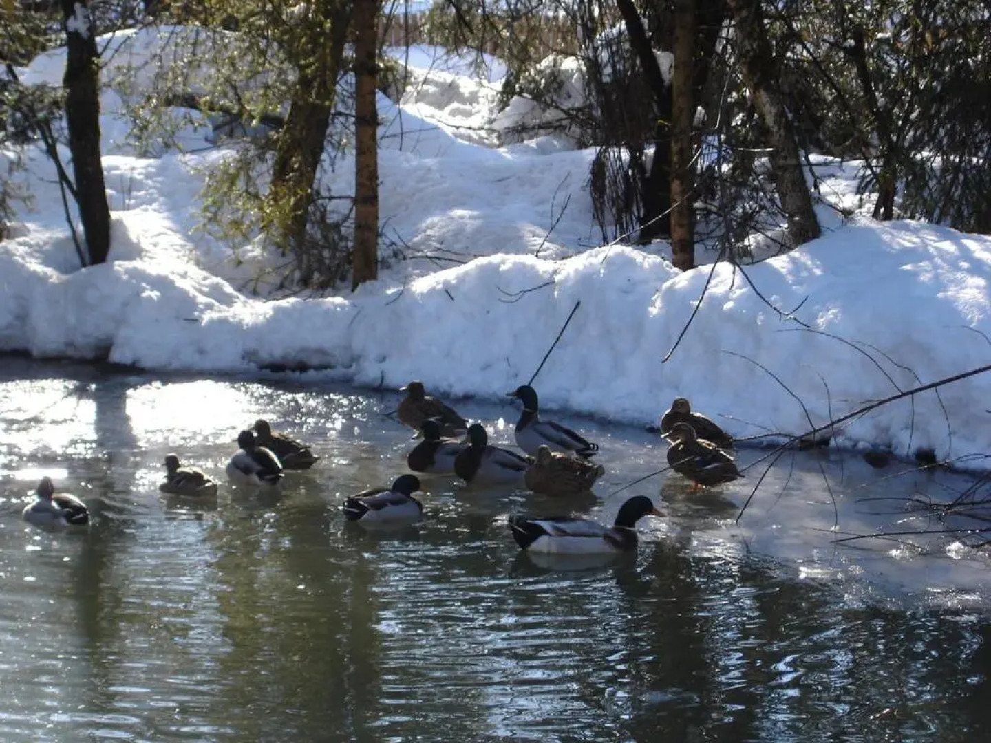 Апартаменты Welcome - Bienvenue - Добро пожаловать 