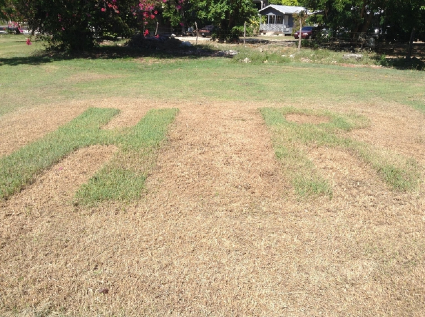 The Royal Hummingbird Resort