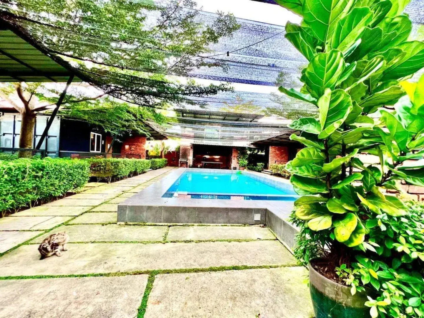 Petak Padin Cottage by The Pool