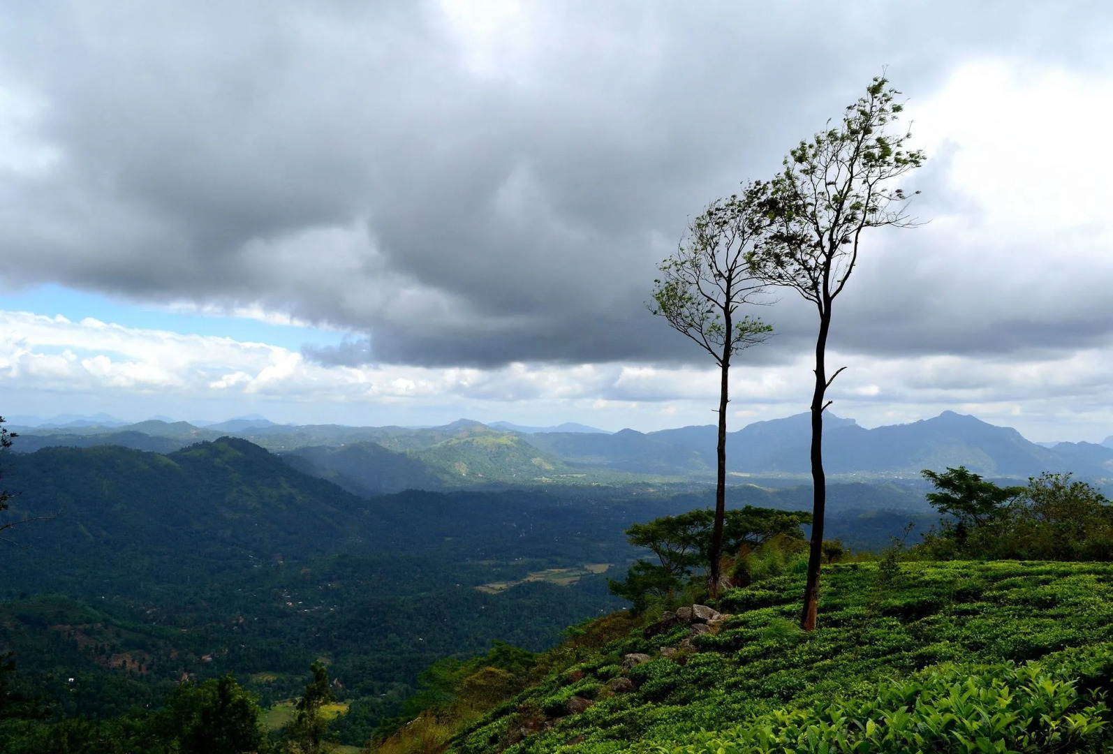 Green View Holiday Resort