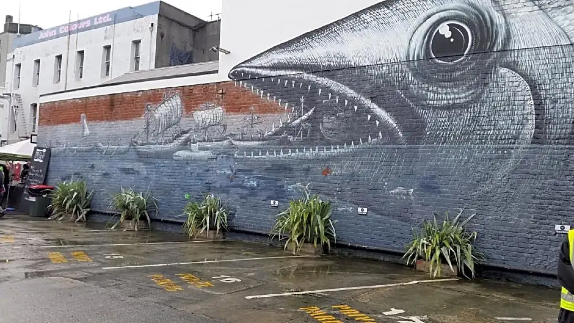 Rosemount B&B by the Sea St Clair