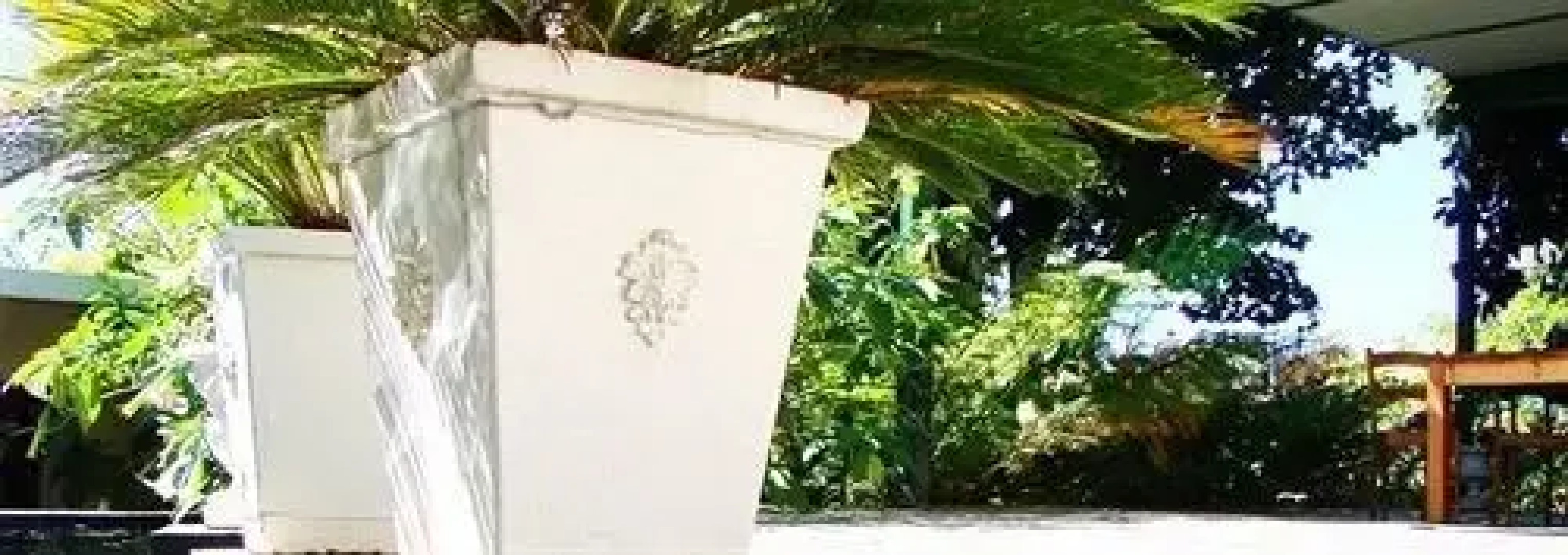 Akuwaiseni Guest House