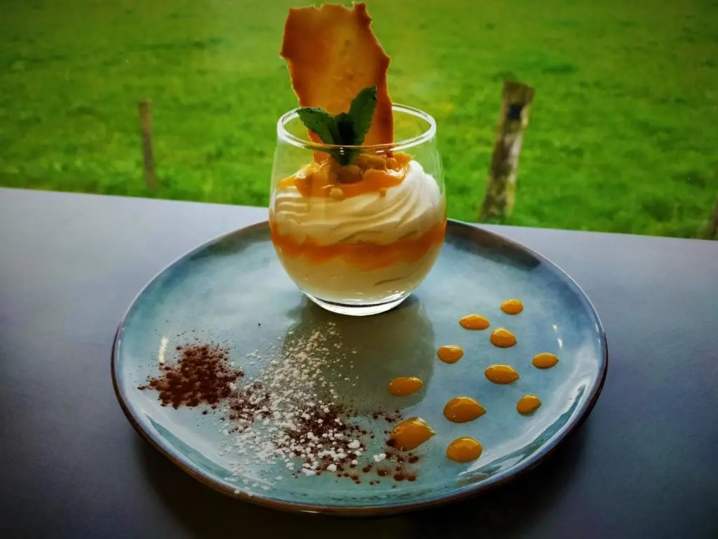 Logis Volcan Sancy Spa