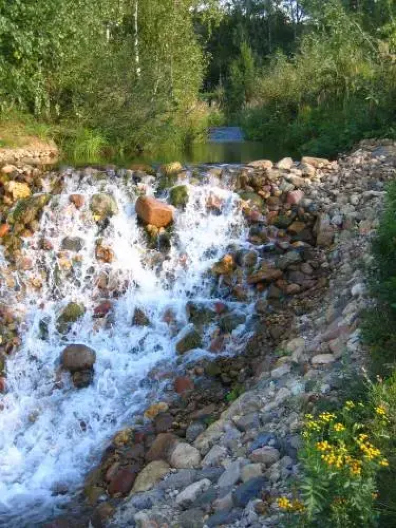 Коттеджный Поселок Спас Каменка