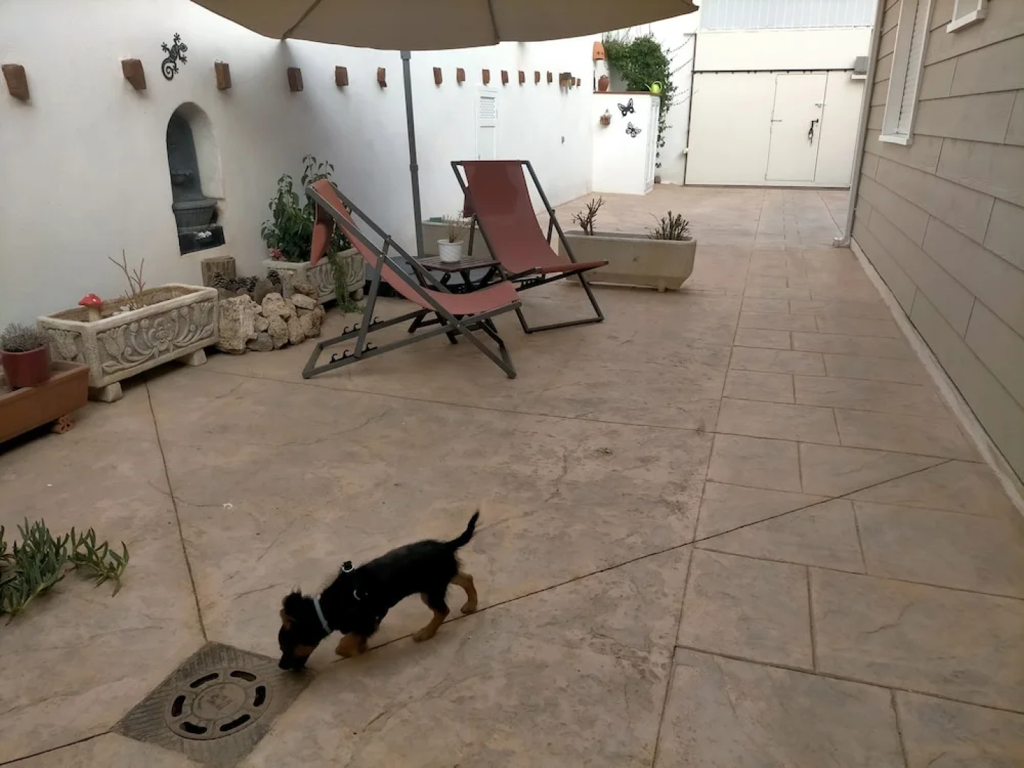 Azafrán Consuegra Casa Rural