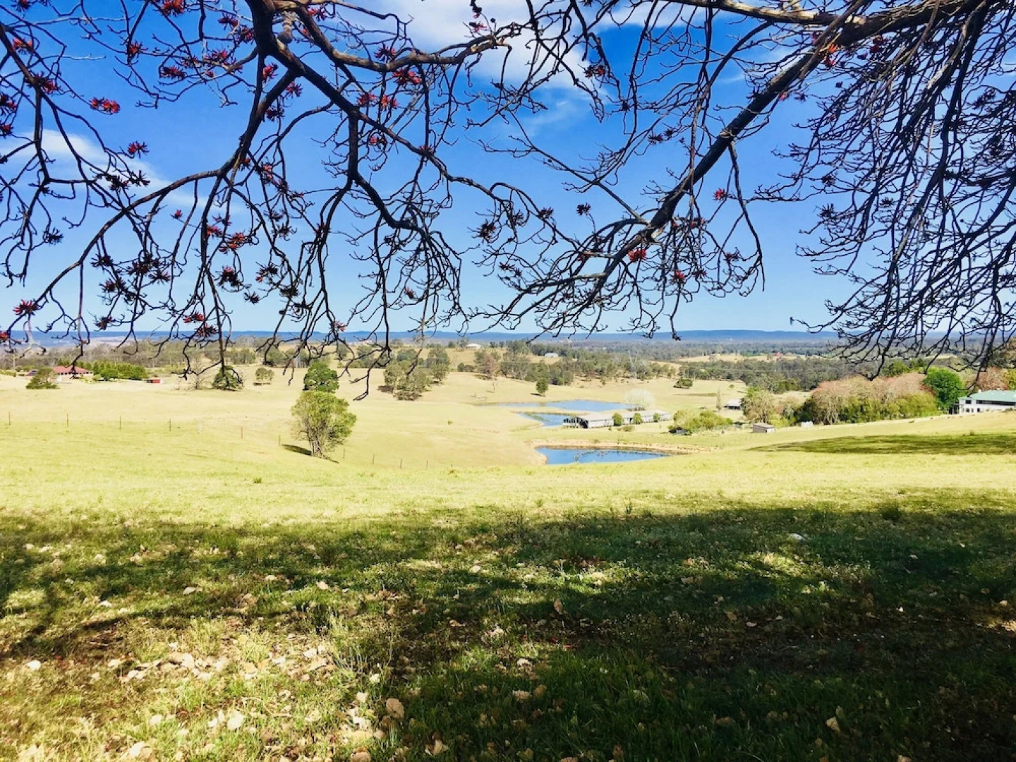 Big Tiny Paperbark Tiny House
