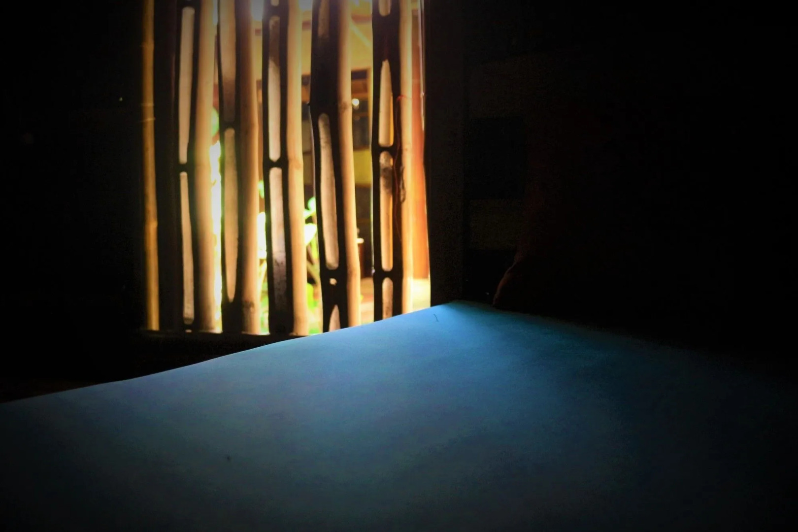 Under the coconut tree - Hostel