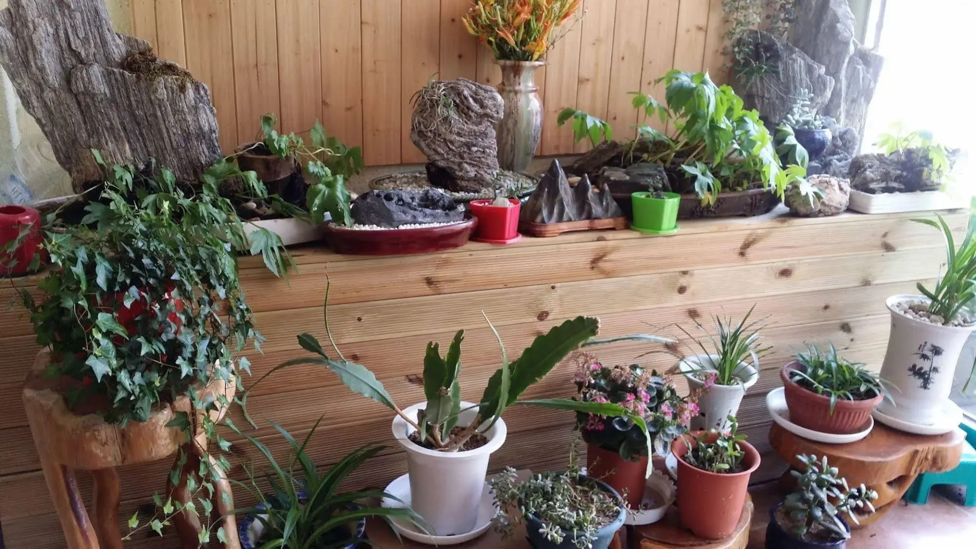 Seorak Dongchun Youthtel - Hostel