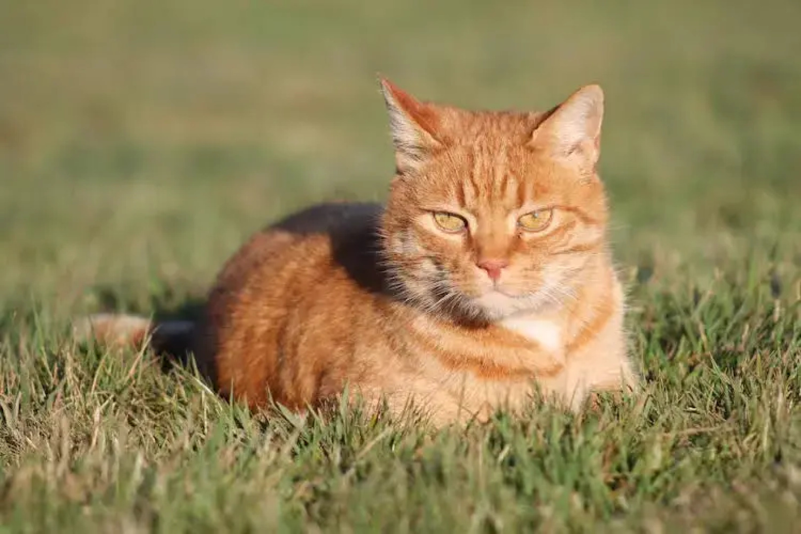 Pension Zum Waldblick