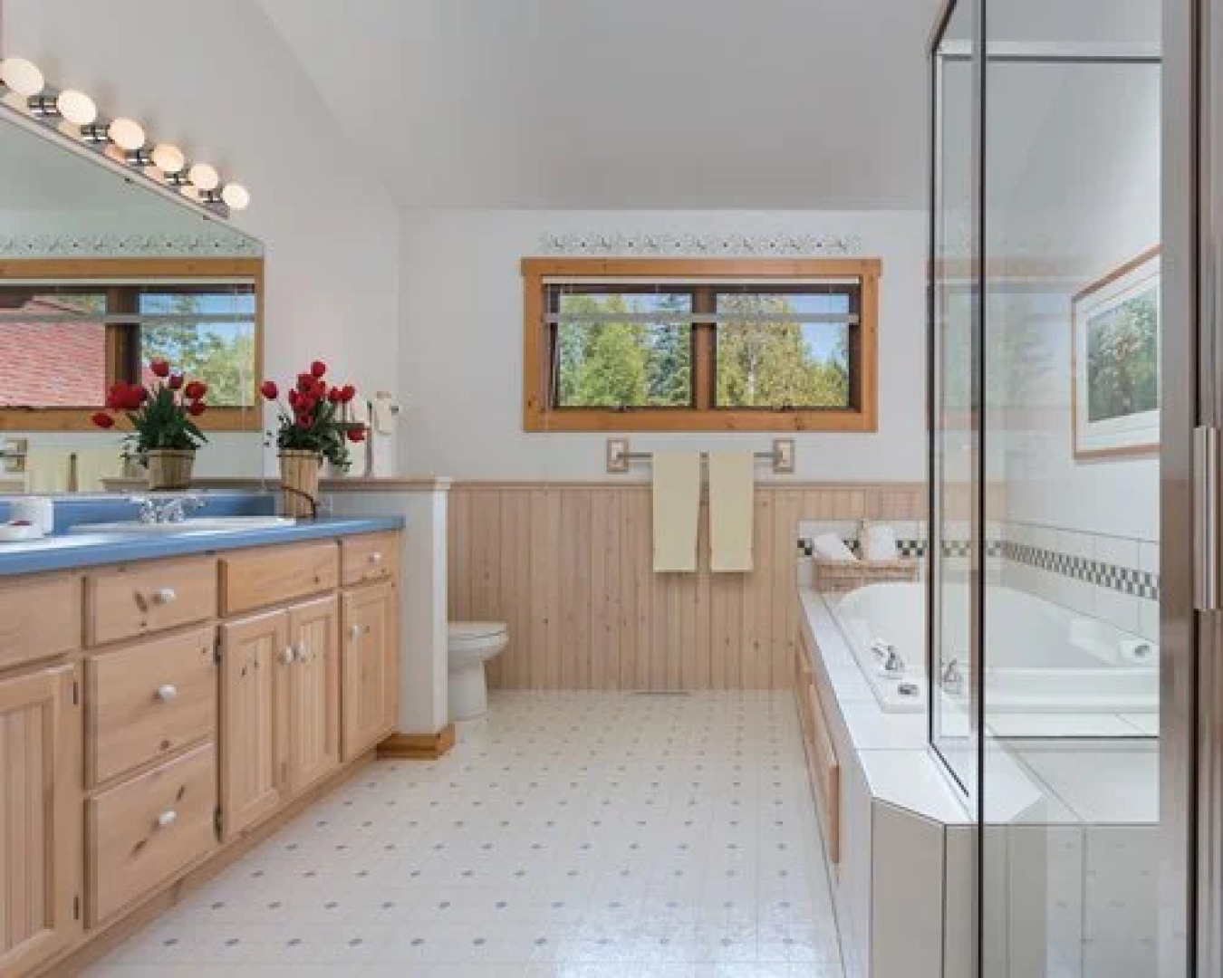 Club Wyndham Little Sweden, Fish Creek, USA