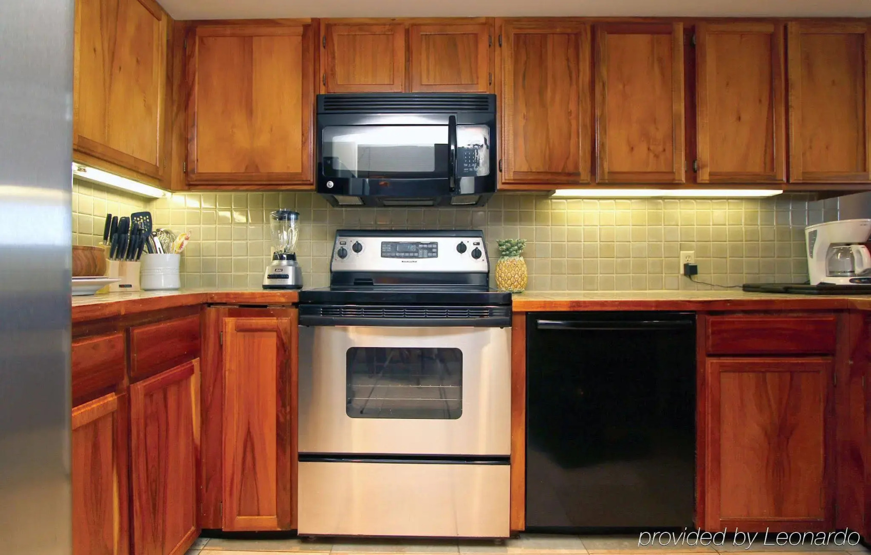 Polo Beach Club Vacation Rentals - APlus Resorts