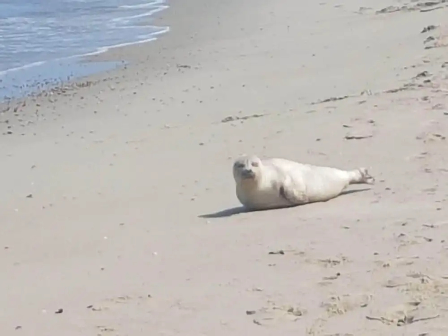 Chalet in Oostkapelle Near the Beach