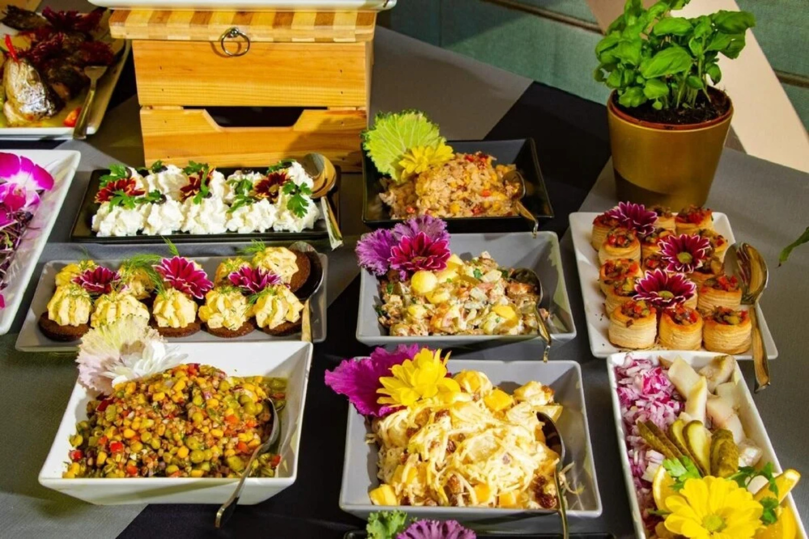 Hotel Olimp Business & Spa