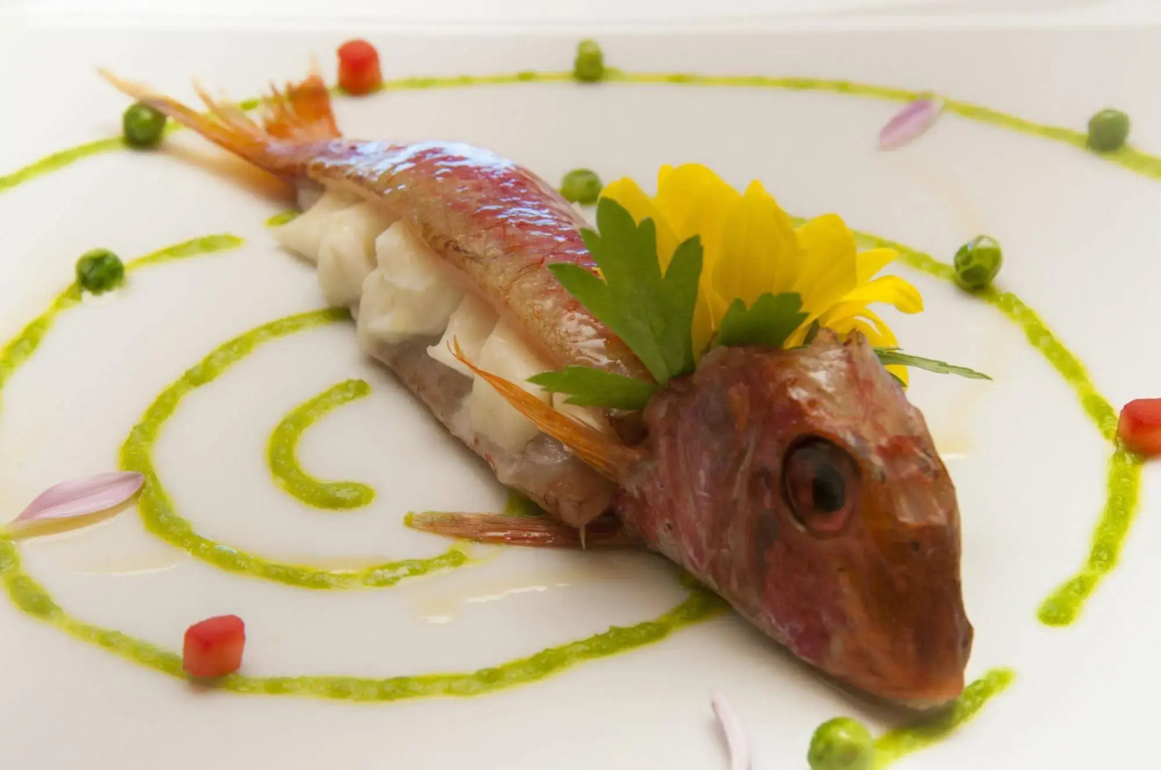 Hotel Cernia Isola Botanica