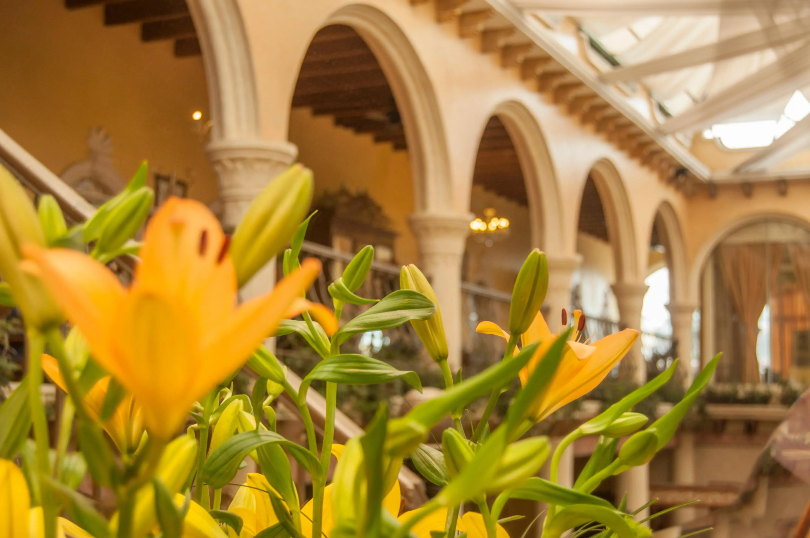 Hotel Villa Las Margaritas Sucursal Centro