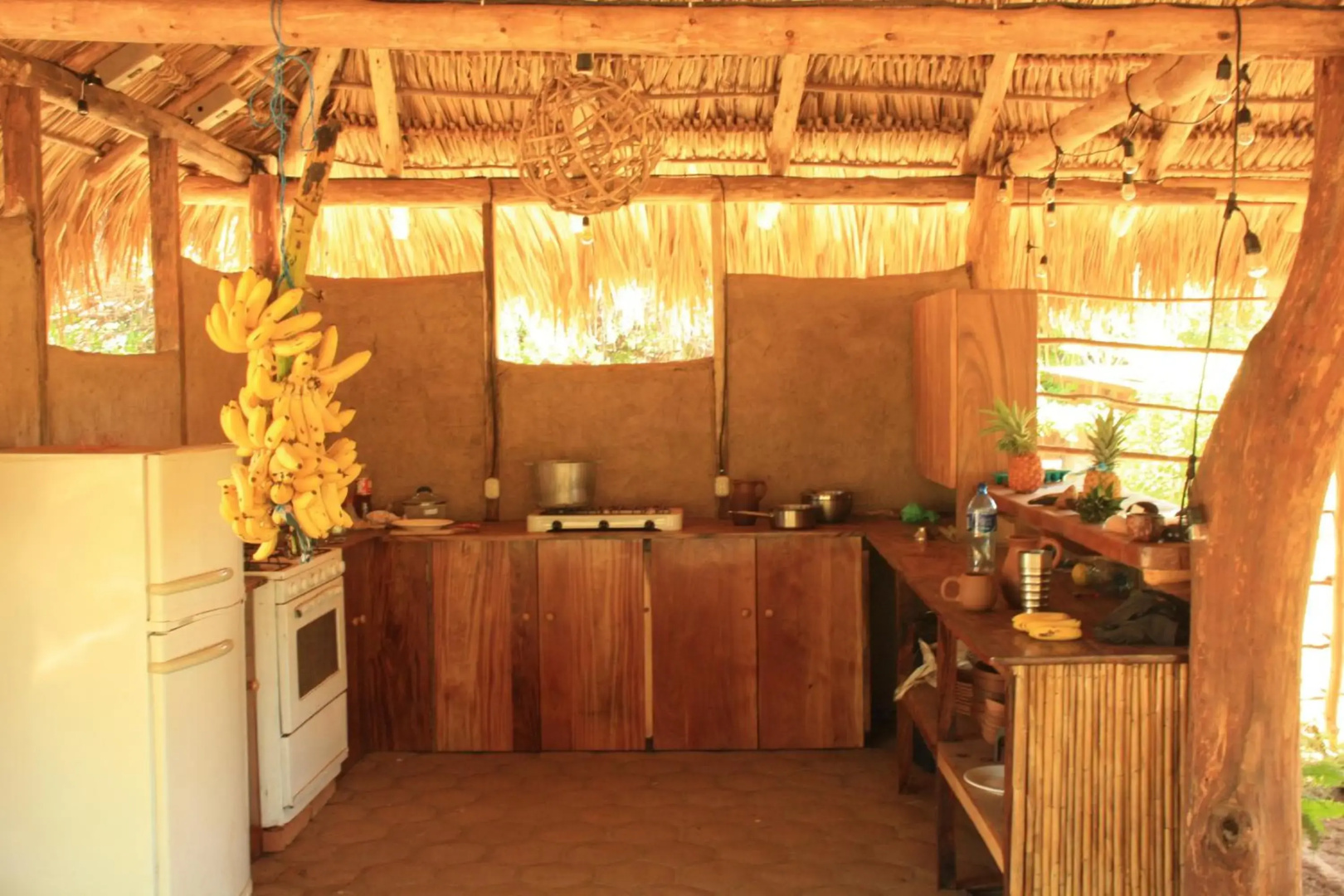 Camping Ojo de Agua