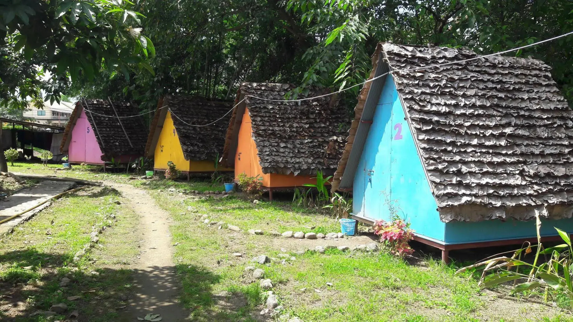 Purple Monkey Backpackers