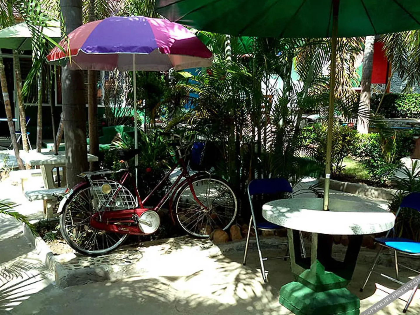 Swiss Ticino Guesthouse & Restaurant