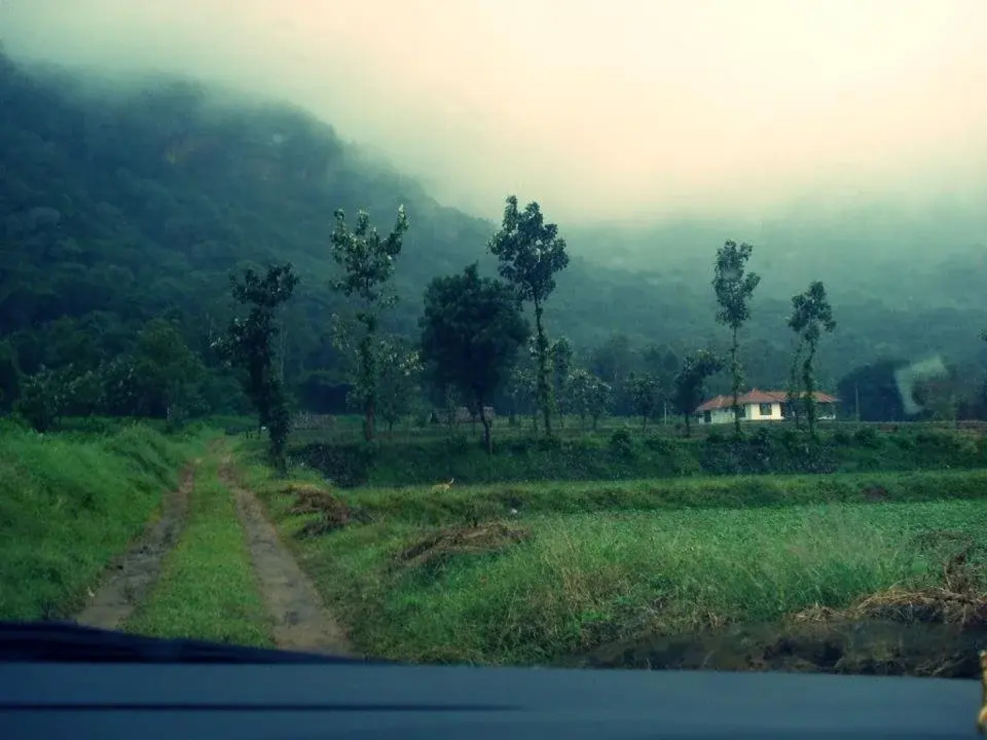 Serenity Guest house