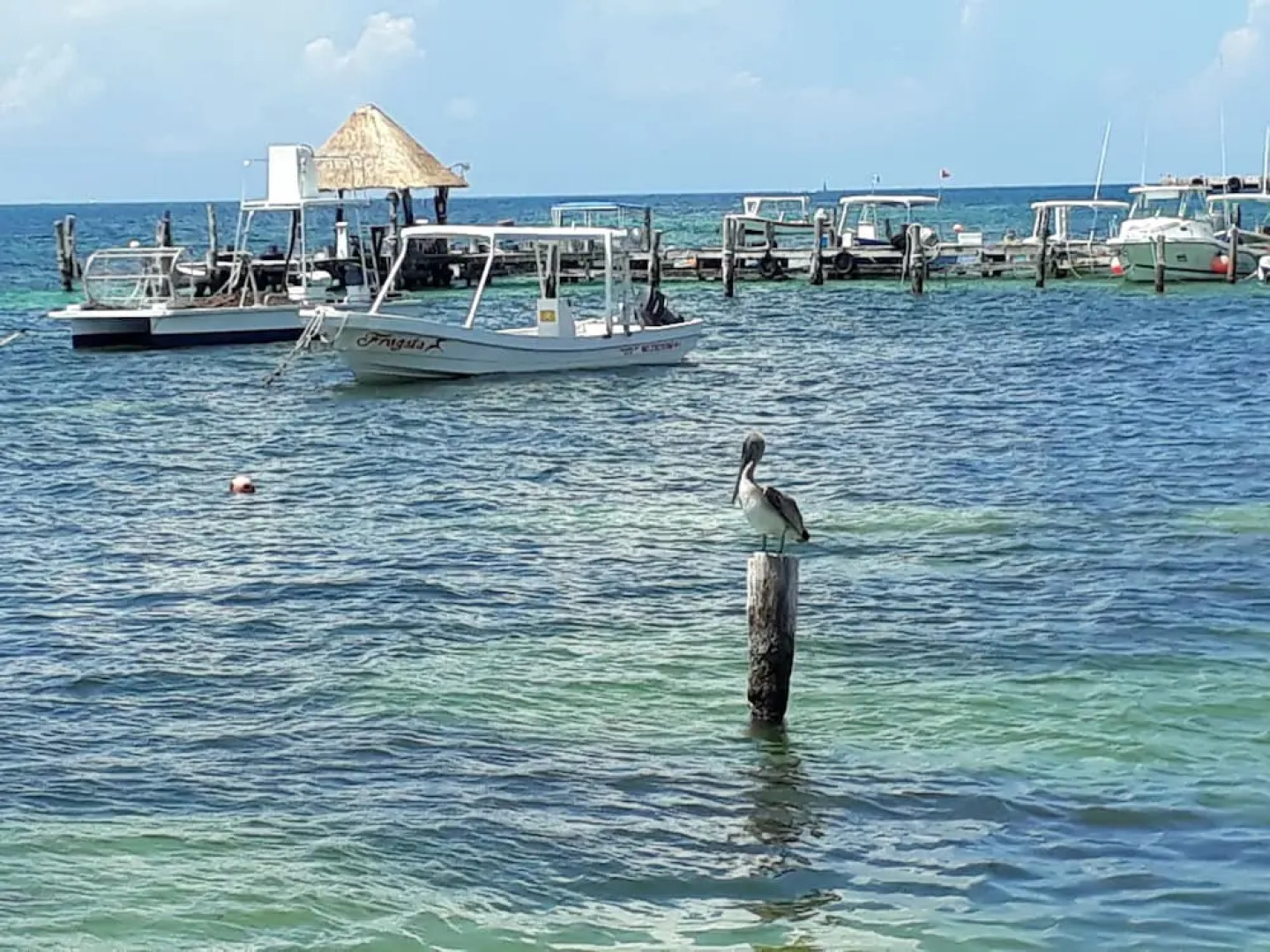 Casa Falabella - Puerto Marino