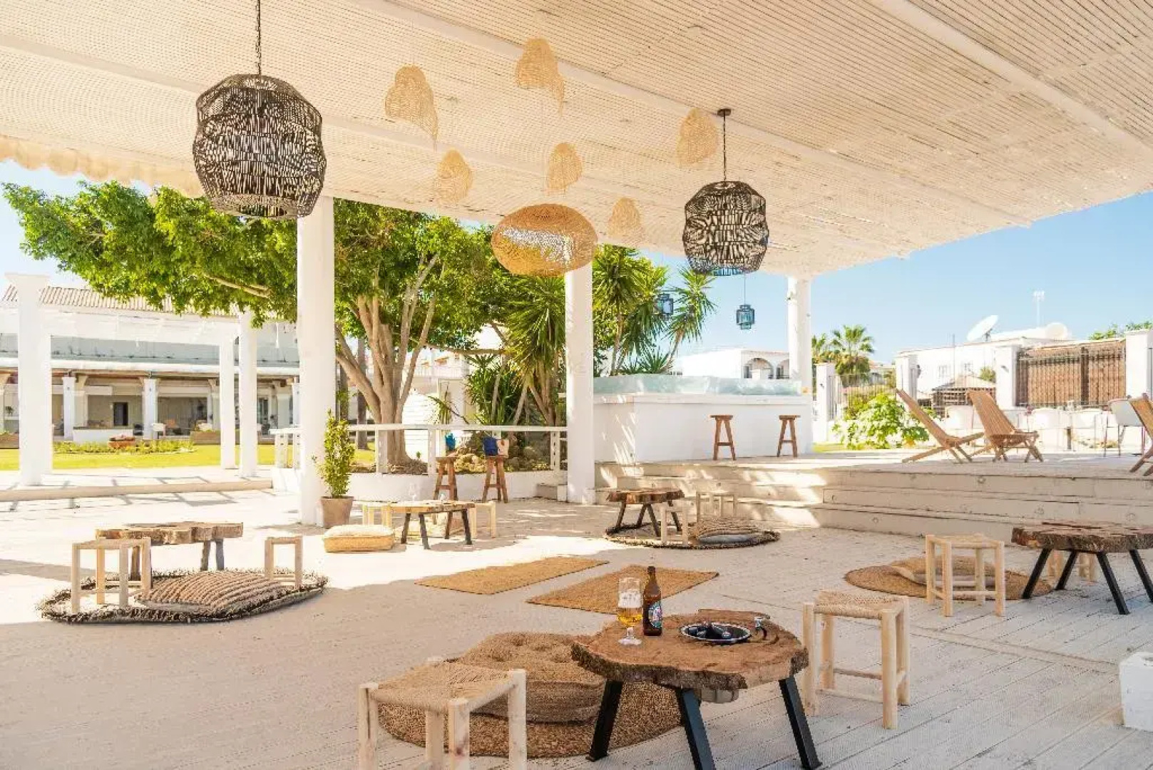 Olive Grove Beachfront Apartments & Suites