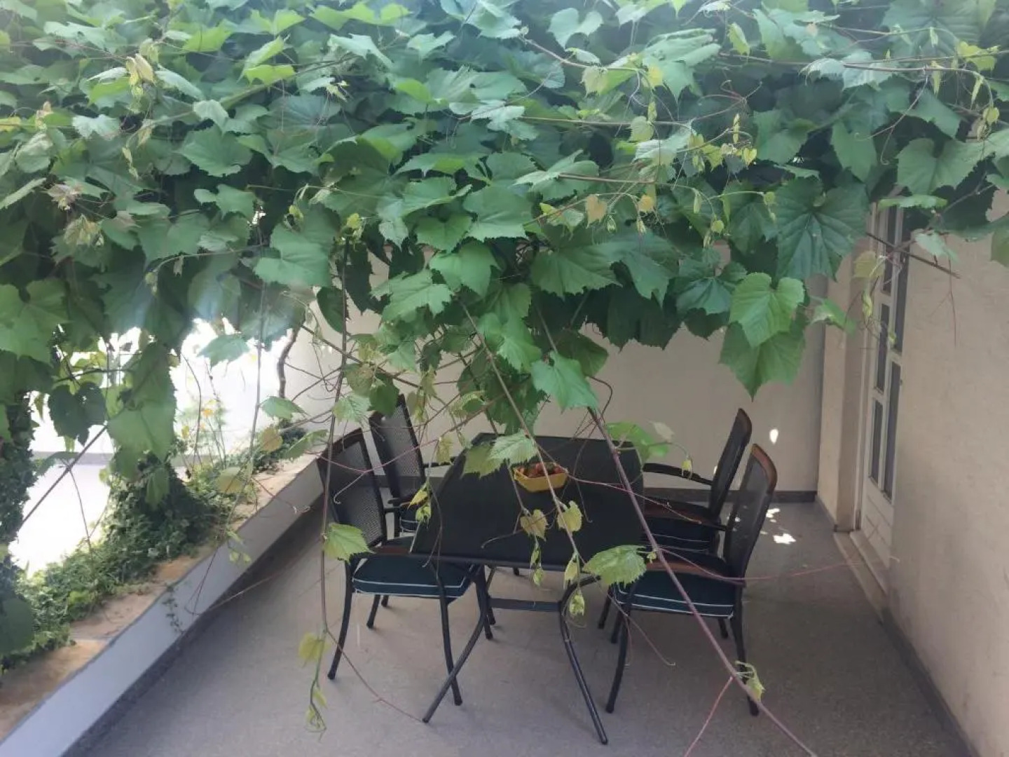 Apartments Baričević